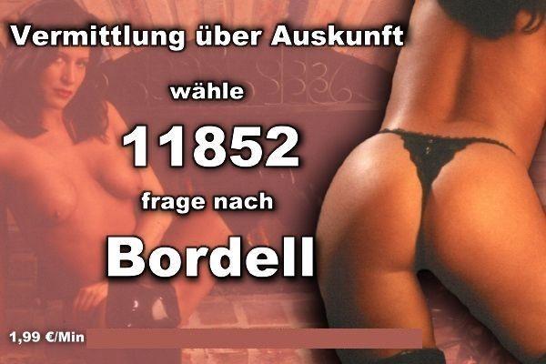 Telefonsex ohne 0900 Nummer Telefonsex ohne 0900 Nummer